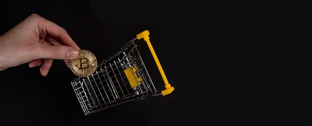 Ownership Versus Custody
